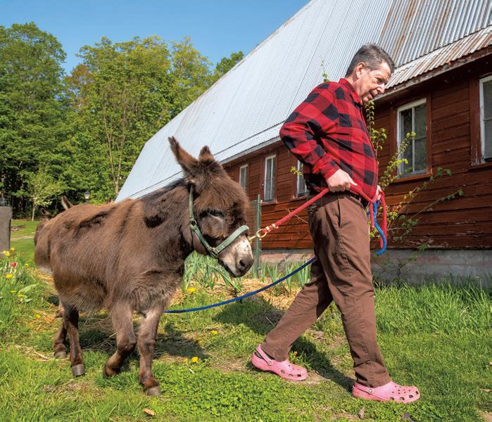 Little Donkey Mexican Restaurant - Montgomery